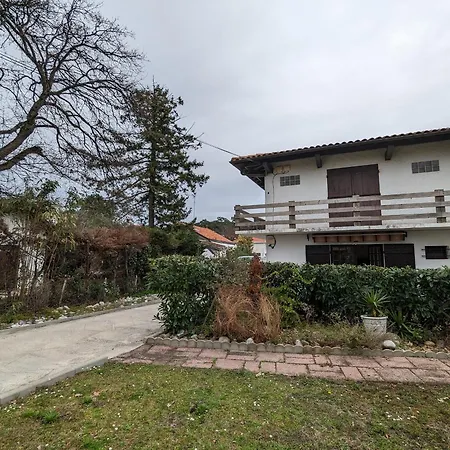 Apartmán Avec Grande Terrasse Et Proximite A - Fr-1-420-125 Arcachon